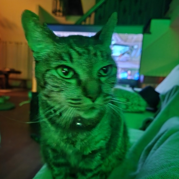 Meet your Posher, Marcus - Picture 1 of 1